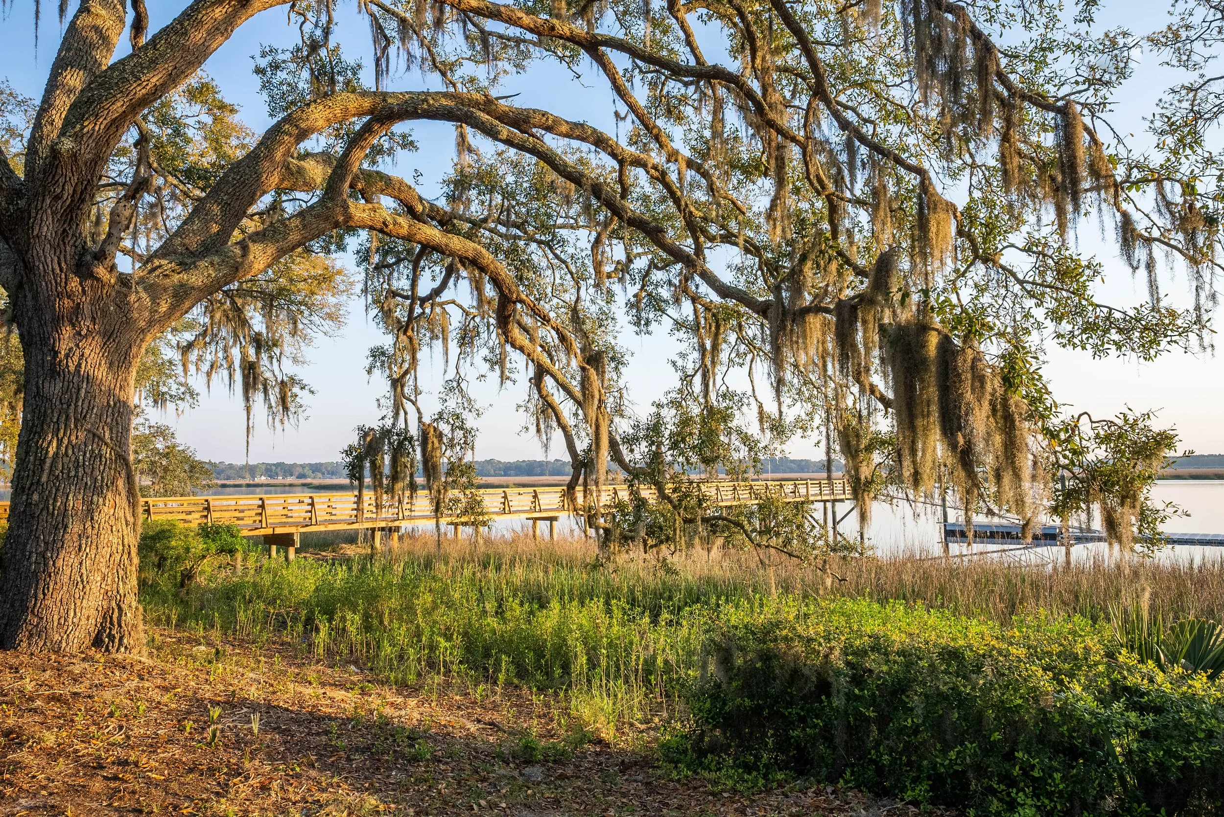 Coastal Georgia marsh framed by live oaks and a dock